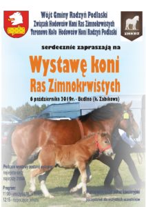 Wystawa koni ras zimnokrwistych @ Bedlno k/ Żabikowa