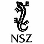 Czy w powiecie radzyńskim były Narodowe Siły Zbrojne?