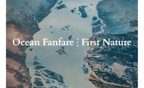 Ocean Fanfare „First Nature”: recenzja