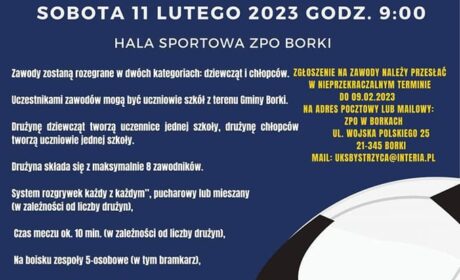 Halowy Turniej Piłki Nożnej o Puchar Wójt Gm. Borki