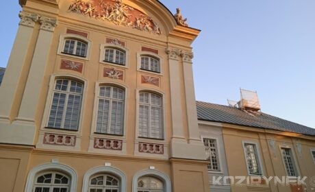 „Galeria Czystości” podaje listę niekompetencji miasta przy rewitalizacji pałacu. Żąda 1 mln zł za prace, składa zawiadomienie do prokuratury i NIK-u