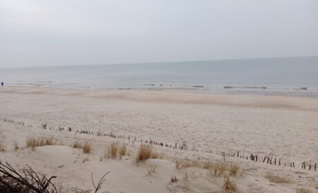 Plaża Stegna