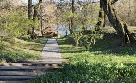 W lubelskim Ogrodzie Botanicznym UMCS
