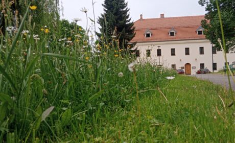 Zámek Havířov – perła architektury w sercu Czech
