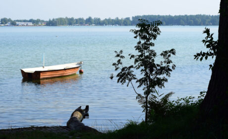 Jezioro Białe (7)