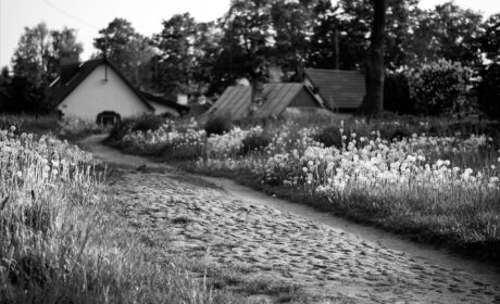 Purgatorium, cz. 105
