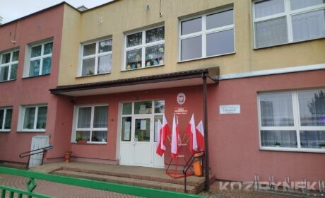Do 17.00 połowa wyborców oddała głos w pow. radzyńskim