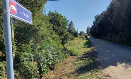 Mieszkańcy ul. Zaródki chcą utwardzonej drogi