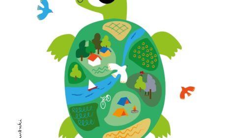 Wakacje żółwia Rudolfa