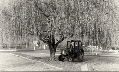 Purgatorium, cz. 106