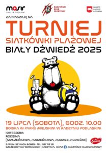 Turniej siatkówki plażowej @ Boiska w parku miejskim