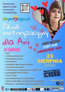 Piknik motoryzacyjny dla Ani @ Park miejski