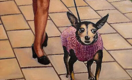 Wiersz na wakacje. Zwierz Alpuhary