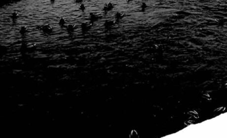 „Wiersze” ks. Konrada Hasiora