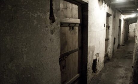 Władze Bezpieczeństwa wobec niepodległościowych dążeń społeczeństwa pow. radzyńskiego po II WŚ; cz. II (ost.)