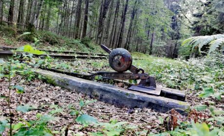 Łatwiej jest kochać ziemię niż ludzi