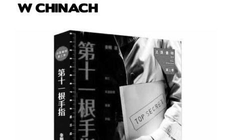 Powieść kryminalna w Chinach