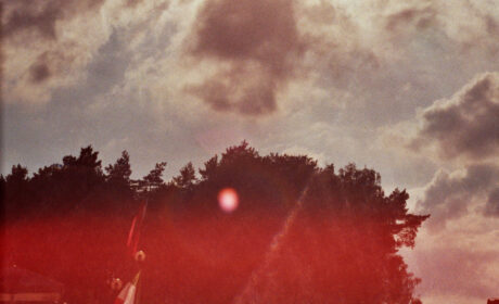 Fine School Look (XXII)