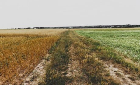 zapisywAnie, cz. XXIII