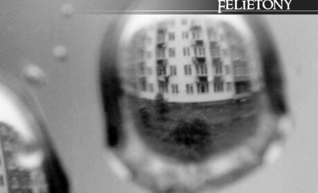 „Homo miastovus” Adama Wielomskiego