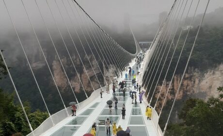 Zhiangjiajie Grand Canyon (V)