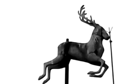 Ewakuacja ze szkoły