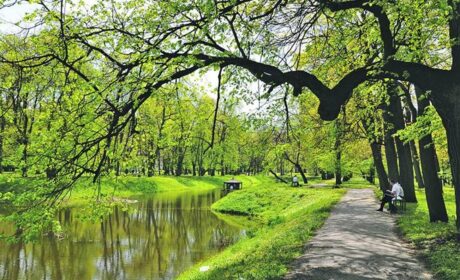 3,5 mln z Urzędu Marszałkowskiego na rewitalizację parku