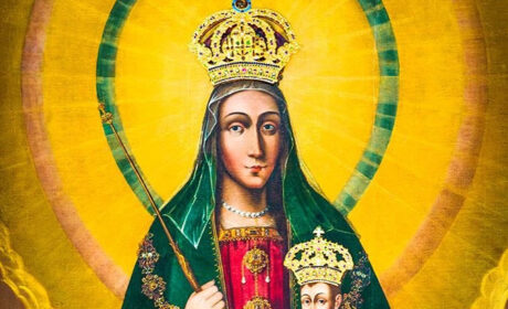 Ignavus peregrinator in Notre Damme