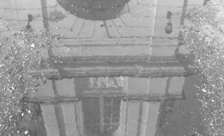 Uśmiech i ogon Marcina Czyża