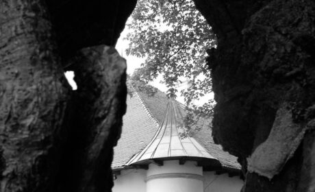 Świat Emila Ciorana. Od rumuńskiej mistyki do francuskiej gramatyki