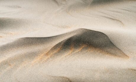 „The Perverted Truth” / „Przewrotna Prawda”