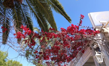 Kreta (I)