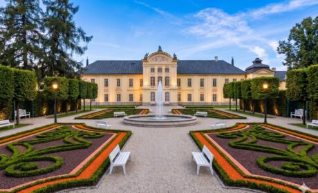 3.06 upływa termin składanie ofert na rewitalizację parku. Burmistrz uspokaja: będą nasadzenia